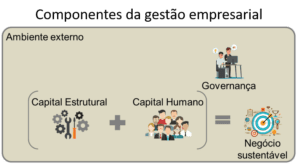 Componentesdagestaoempresarial